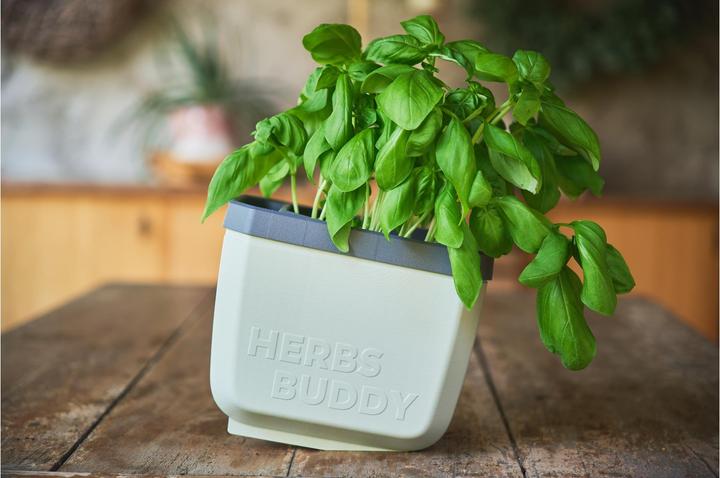 Actual product image Gusta Garden Herbs Buddy (16 x 16.30 x 14.50 cm)