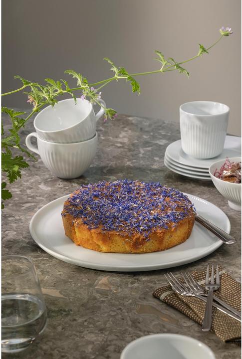 Image du produit Eva Solo Legio Nova Pizzateller 4 Stück,Weiss (4x, 31.50 cm)