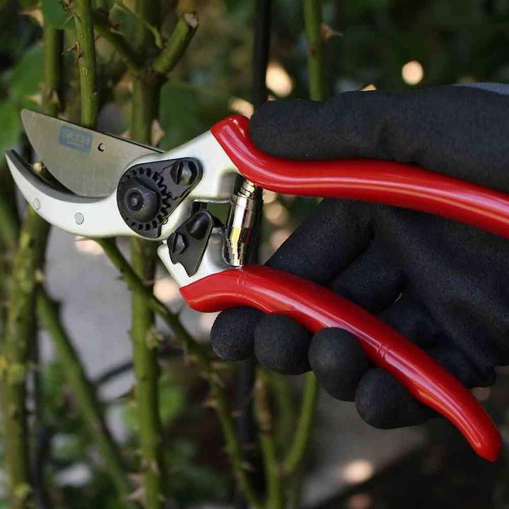 Actual product image Siena Garden Bypass