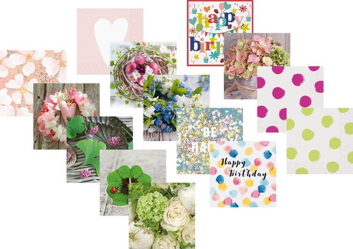 Actual product image Stewo Everyday (20 pcs., 33 x 33 cm)