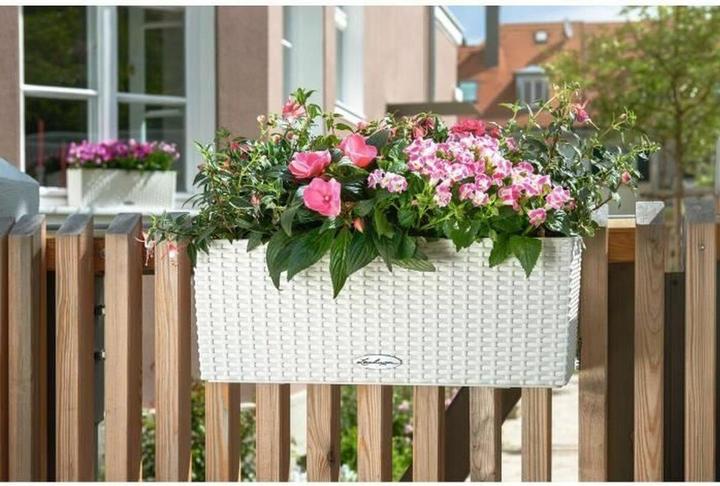Actual product image Lechuza Balconera Cottage (19 cm)