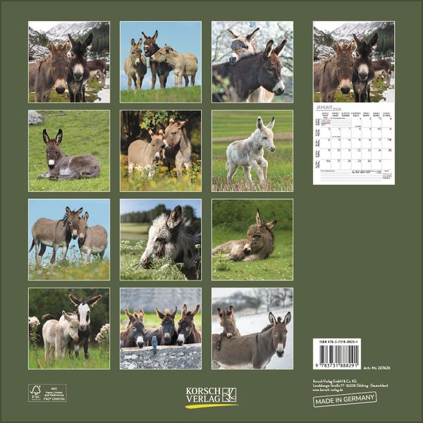 Produktbild Esel2026