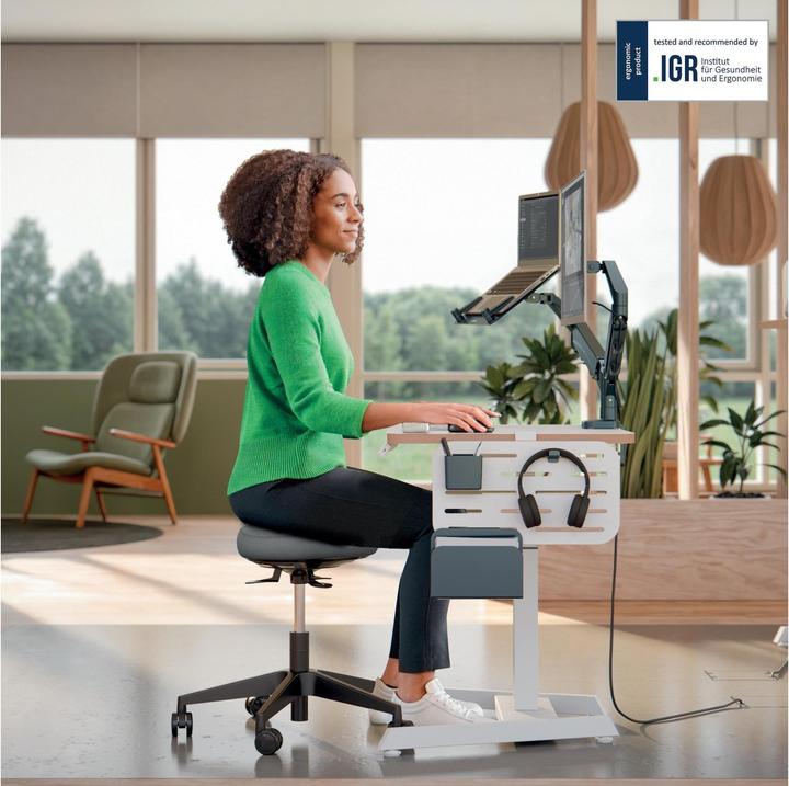 Actual product image Leitz Ergo Active