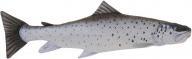 Immagine prodotto Gigabyte Trota di mare 51cm