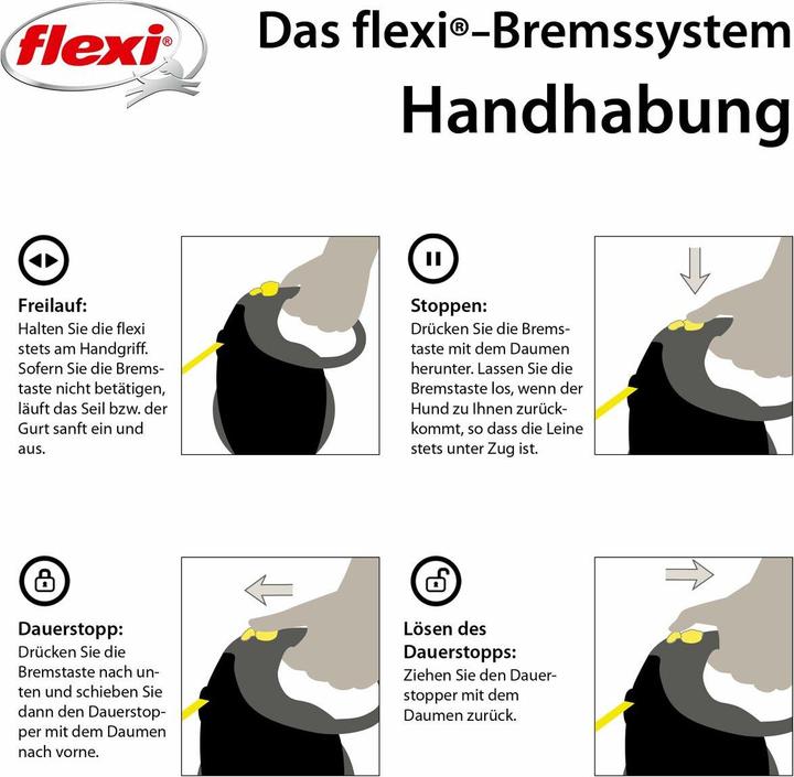 Actual product image Flexi Giant (Dog, General, Walks)