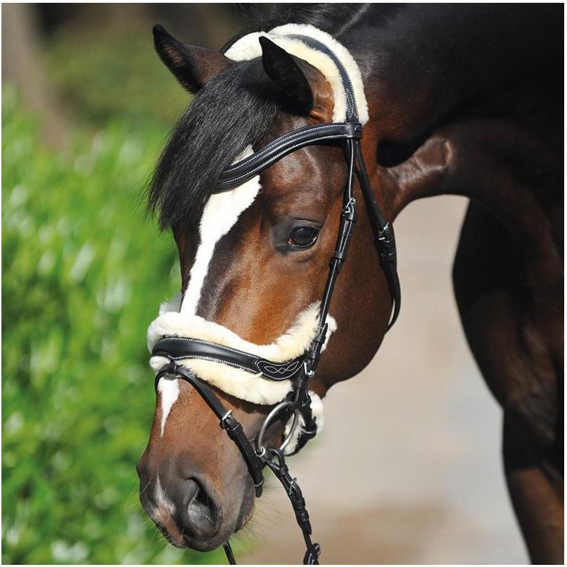 Thumbnail - Kavalkade, Zaumzeug