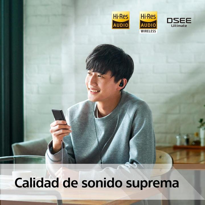 Immagine prodotto Sony NW-A306 (18 GB)