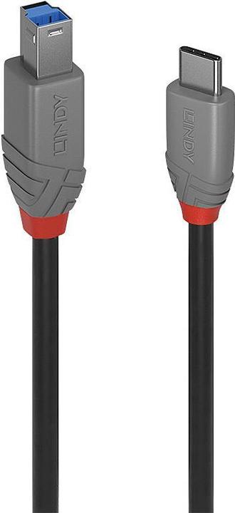 Image du produit Lindy Câble USB 3.2 type C vers B, Anthra Line (0.50 m, USB 3.2 Gen 1)