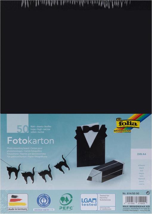 Folia Photo cardboard (300 g/m², 1 x)