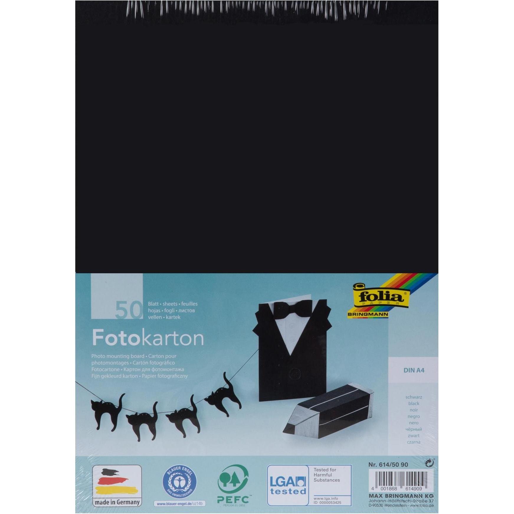 Folia, Bastelpapier, Fotokarton (300 g/m², 1 x)