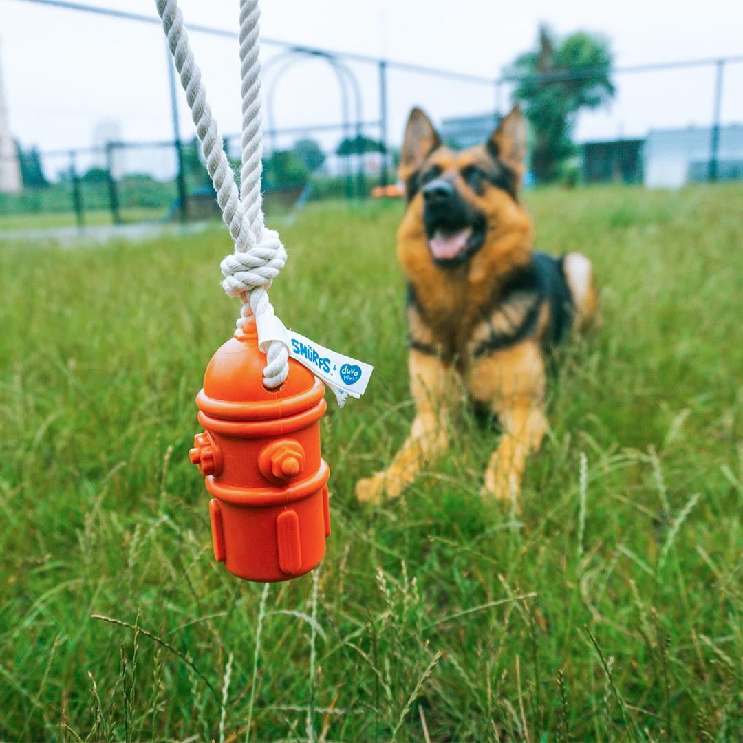 Jouet pour chien en caoutchouc schtroumpfs musicien  Duvoplus