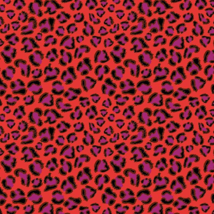 Actual product image Cedon Bag XL LEO