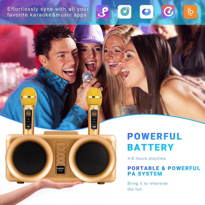 Produktbild Dlara Karaoke Maschine, gold