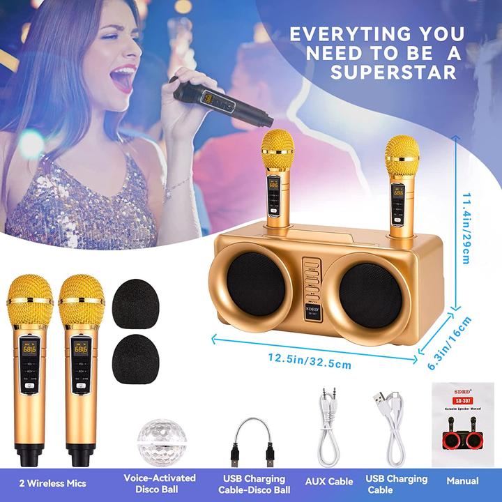 Produktbild Dlara Karaoke Maschine, gold