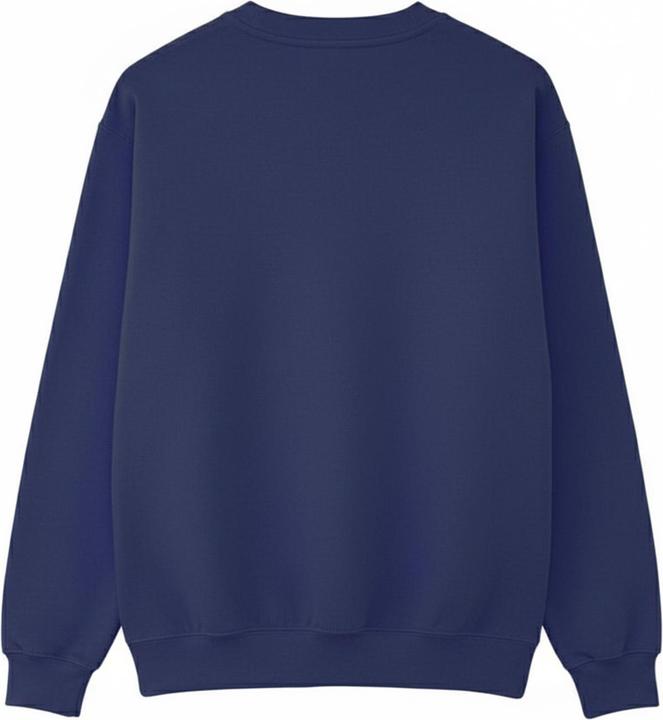 Image du produit Blue Beetle - Sweat motif/style Bleu / Blanc - Garçon (104)