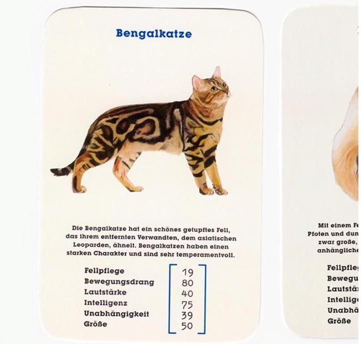Productafbeelding 441050 - Kwartet - Katten. Best in Show - 2+ spelers, vanaf 8 jaar (editie DE) (Duits, 2 - 10 Spelers)