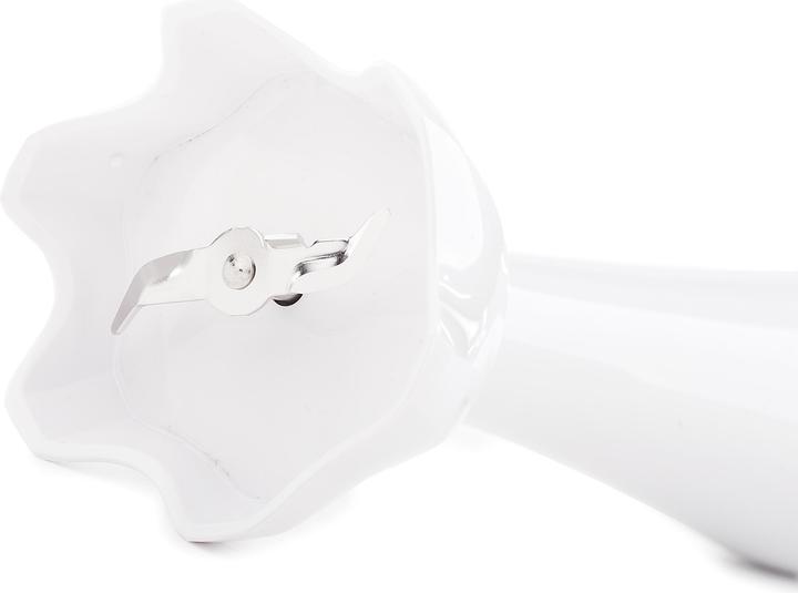 Actual product image Braun MQ 3000 Smoothie+