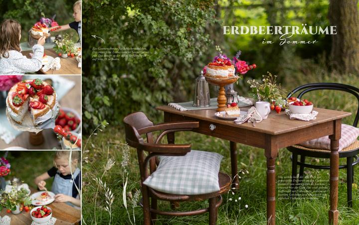 Produktbild Heimgemacht in der Sommerzeit (Deutsch, Silke Schneider-Windt, acufactum Ute Menze, Sophia Drescher, 2024)