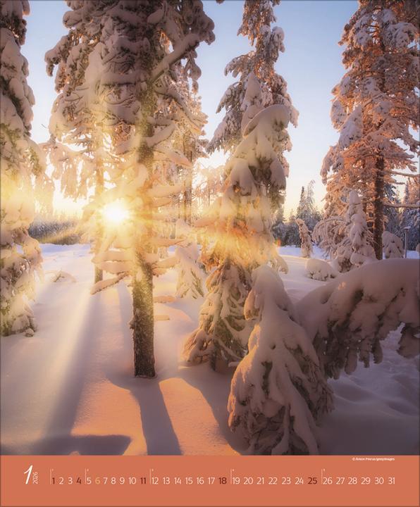 Produktbild AugenblickeimWald2026 (Spezial)