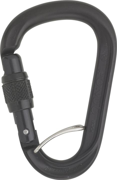 Produktbild AustriAlpin HMS Rondo Screwgate Carabiner with Selfie