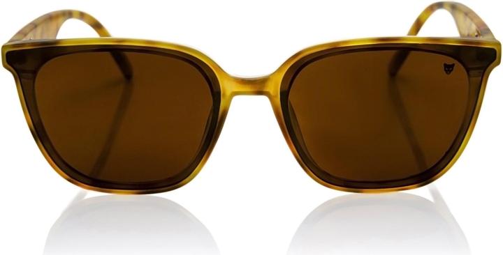 Produktbild Marc Lauder Player