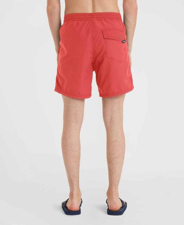 Produktbild O'Neill Vert (L)