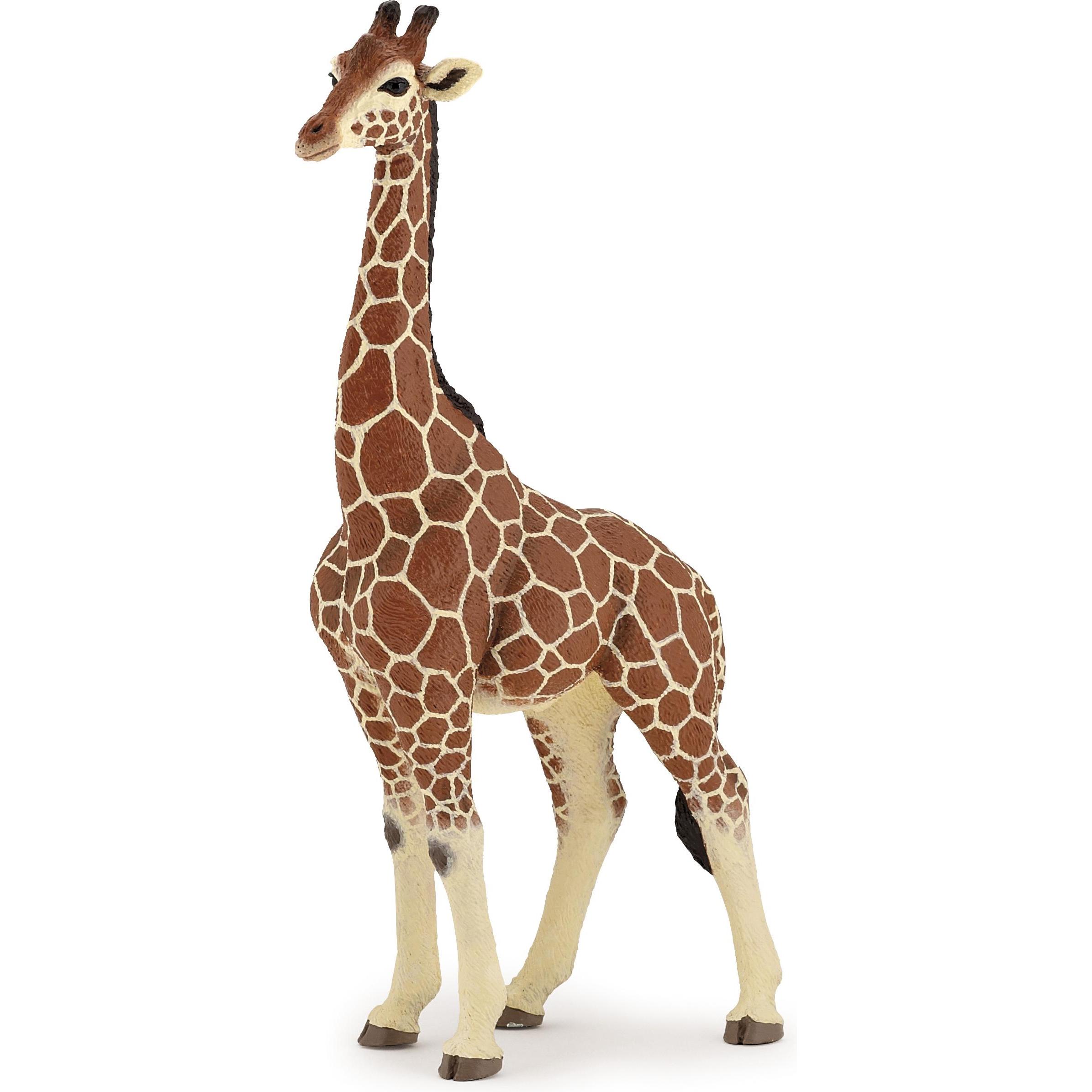 Papo Giraffenmännchen
