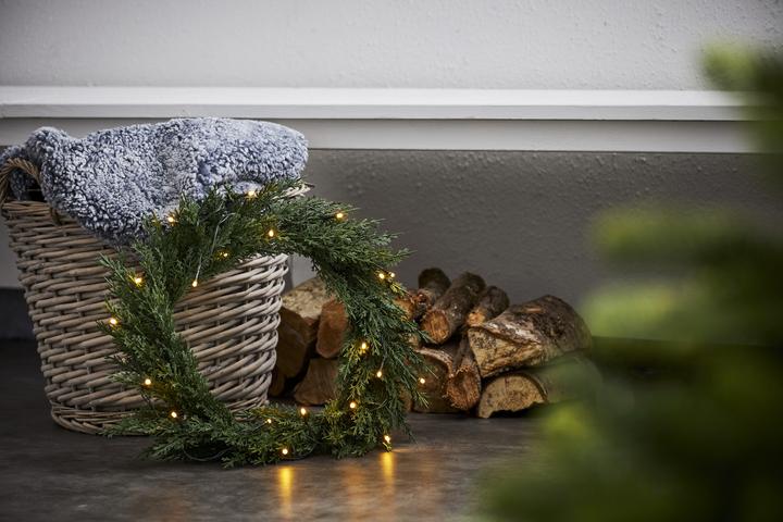 Produktbild Star Trading Thuja