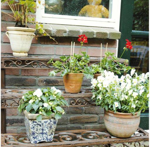 Actual product image Esschert Design Ianthina