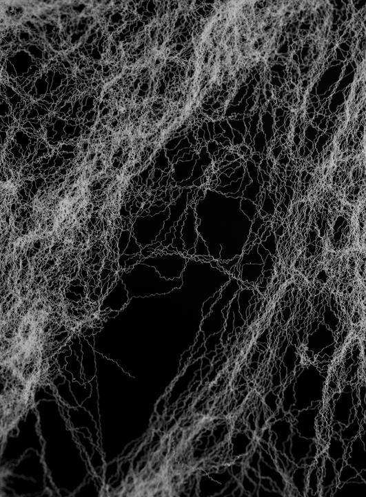 Image du produit Chaks Toile d'araignée (1 pièce(s))