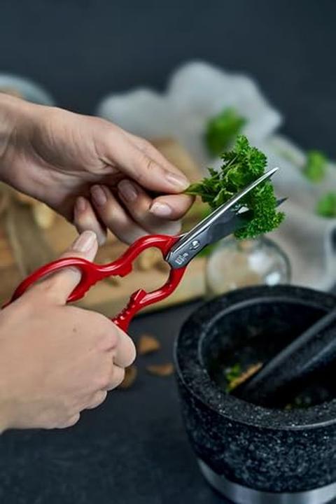 Produktbild Zwilling VielzWeckschere (20 cm)