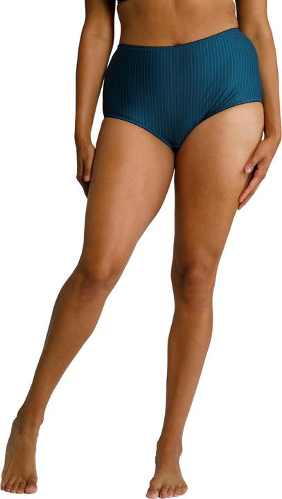 Actual product image Ulla Popken 2 Pack of Stretch Microfiber Brief Panties - Pinstripe (46, 48, pack of 2)