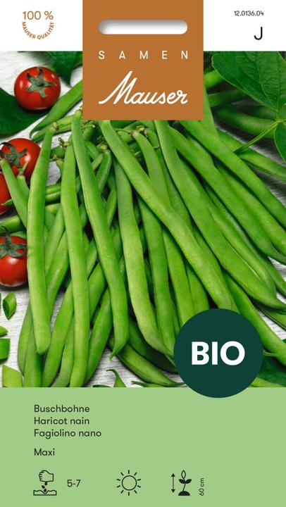 Produktbild Samen Mauser Bio Buschbohne Maxi (Gemüsesamen)