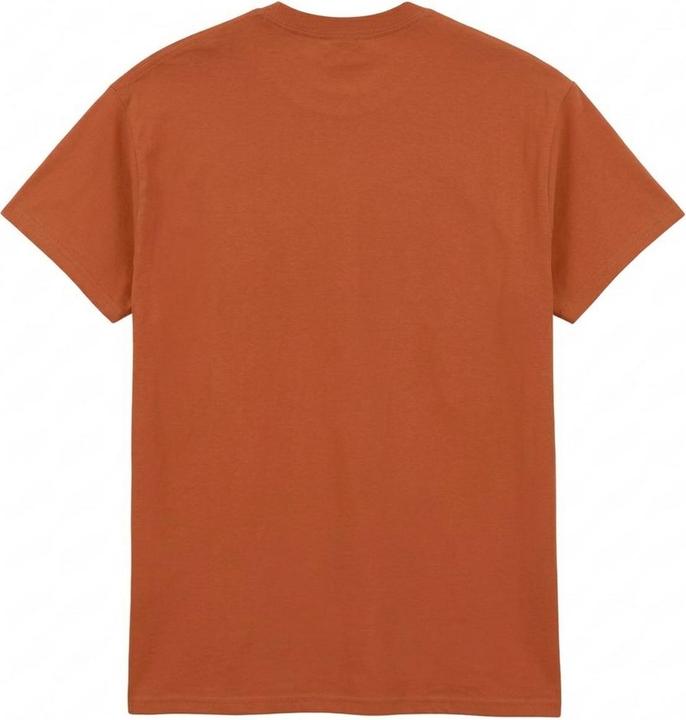 Produktbild Amplified Earl's Court 75 TShirt (M)