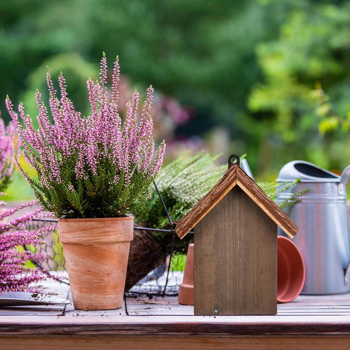 Immagine prodotto Relaxdays La casa delle coccinelle (Coccinelle)