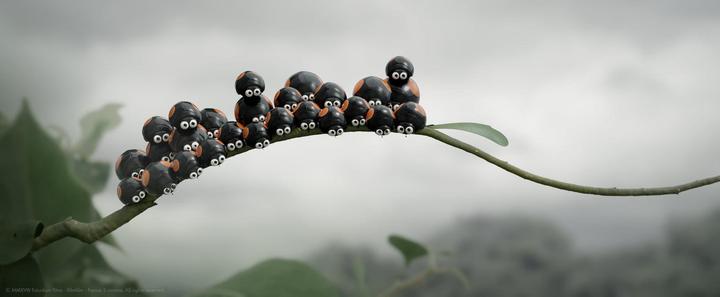 Image du produit Minuscule - Abenteuer In Der Karibik (DVD, 2019, Allemand)