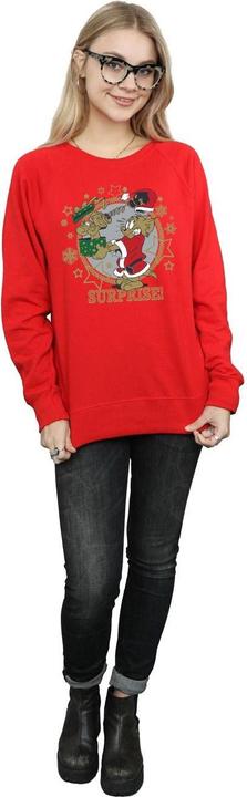 Actual product image Tom & Jerry Womens/Ladies Christmas Surprise Sweatshirt (XXL)
