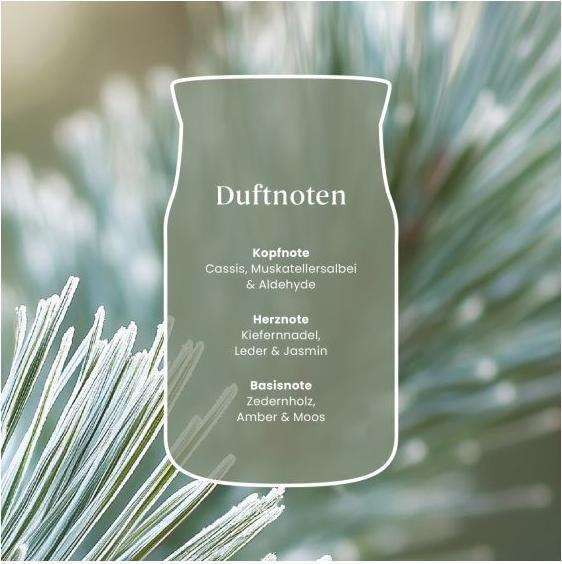 Produktbild Yankee Candle Silver Sage & Pine
