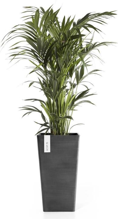 Produktbild Ecopots Rotterdam halbhoch (31 cm)
