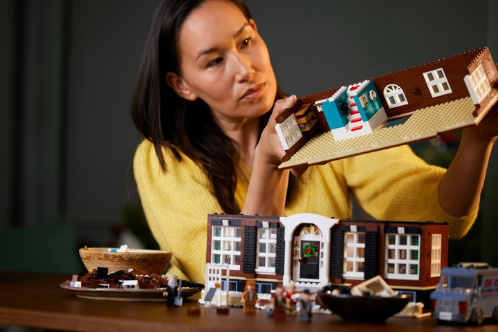 Productafbeelding LEGO Alleen thuis (21330, LEGO Ideeën, LEGO Zeldzame Sets)