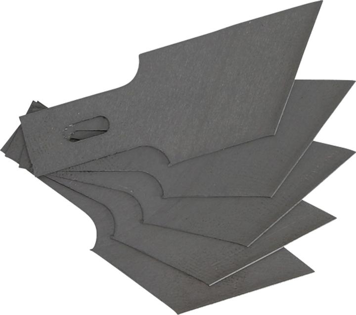 Actual product image BGS Spare Scraper Blades Set for 364 | 0.6 x 16 mm x 53° | 5 pcs.
