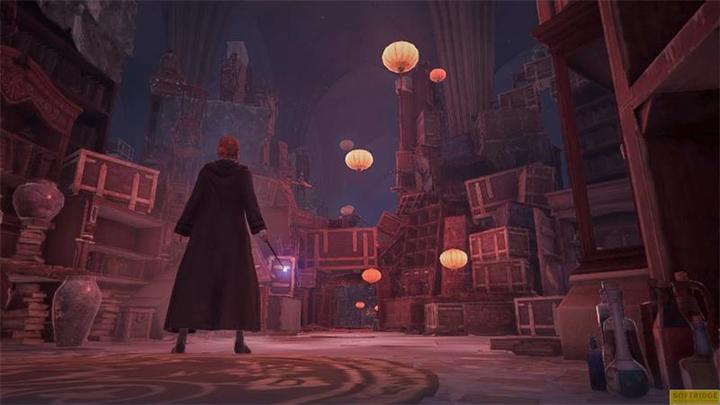 Produktbild WB Hogwarts Legacy (Switch, DE, FR)
