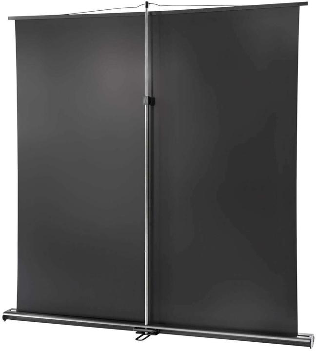 Actual product image Celexon Ultramobil Professional (87.99", 1:1)