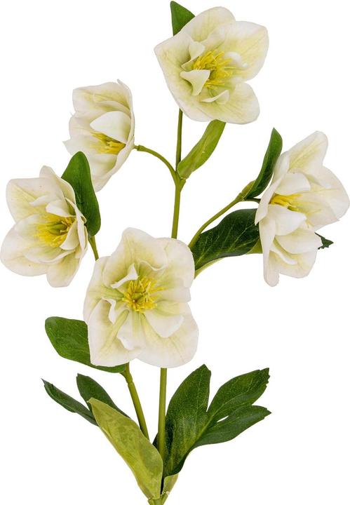Immagine prodotto Hill Interiors Elleboro Fiore Artificiale (45 cm)