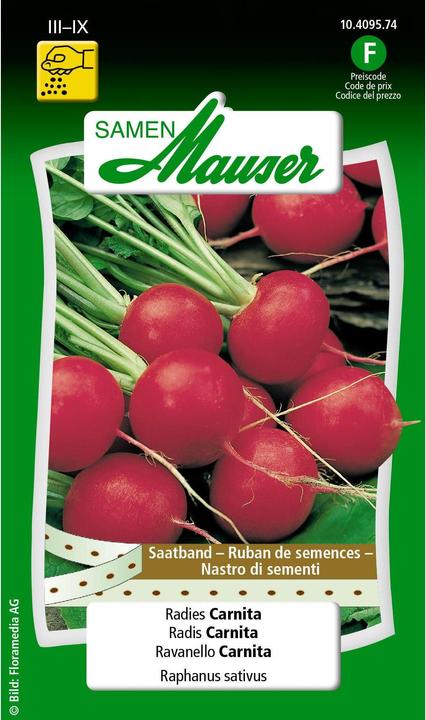 Produktbild Samen Mauser Radies Carnita (Gemüsesamen)