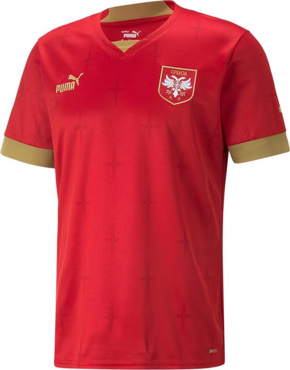 Puma FSS Home Jersey Replica (M)