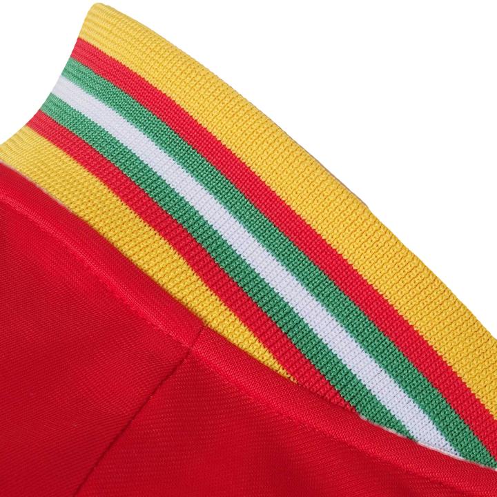 Produktbild FA Wales Trainingsjacke Jungen (122)