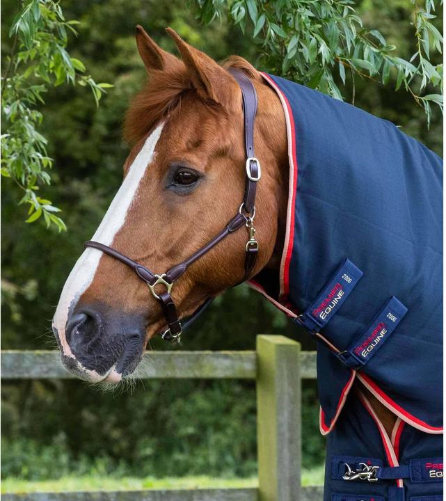 Produktbild Premier Equine Stable Buster 200g (168 cm)