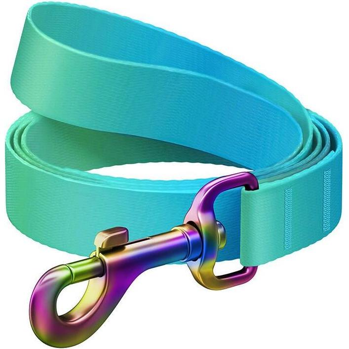 Waudog gradient nylon dog leash, 15mm wide, 122cm long, blue (S, Hund, Allgemein), Halsband + Leine