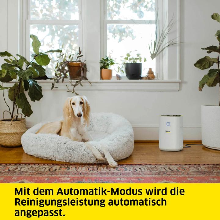 Image du produit Kärcher AF 20 (20 m²)